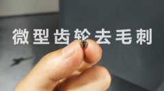  小微齒輪去毛刺清理，適合磨粒流加工！ 